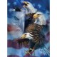 Steven Michael Gardner - Patriotic Eagles
