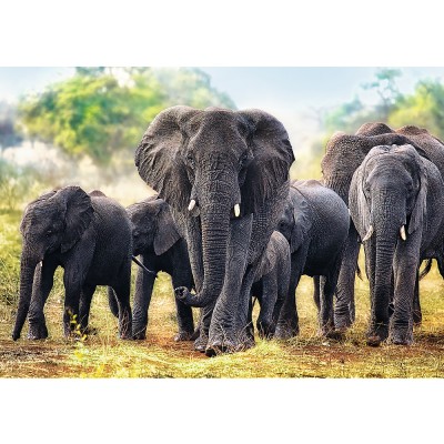 Puzzle Trefl-10442 African Elephants