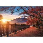 Puzzle  Trefl-10817 Foto-Odyssee: Mount Fuji , Japan