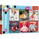 Puzzle  Trefl-13279 Cheerful Dogs