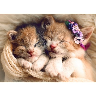 Puzzle Trefl-37271 Sleeping kittens