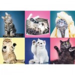 Puzzle  Trefl-37377 Kittens