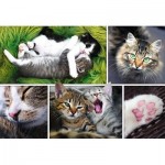 Puzzle   Collage - Die Katzen