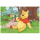 Winnie Pooh: Winnie und Ferkel